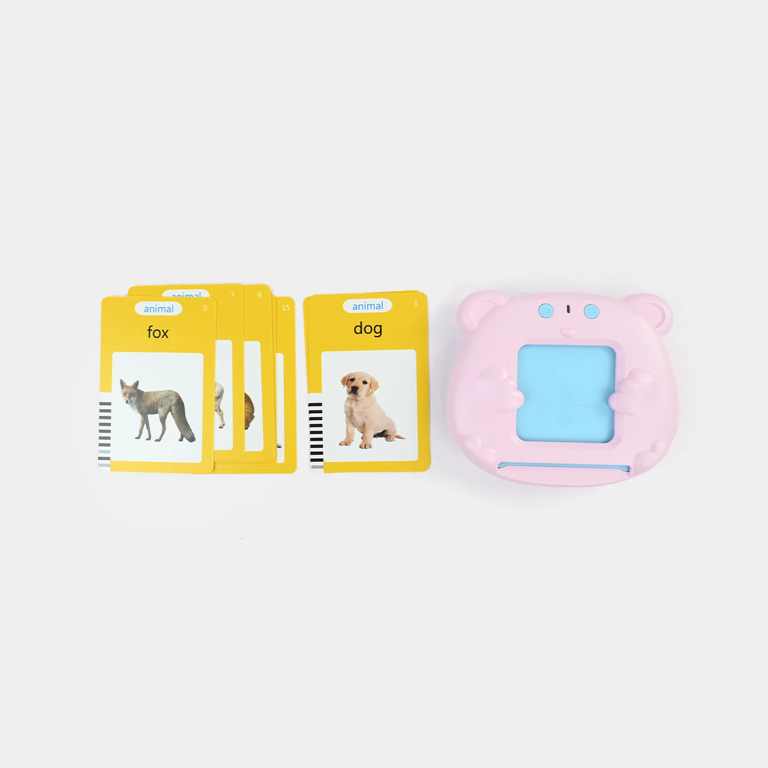 Bear English Early Education Card - Image 4