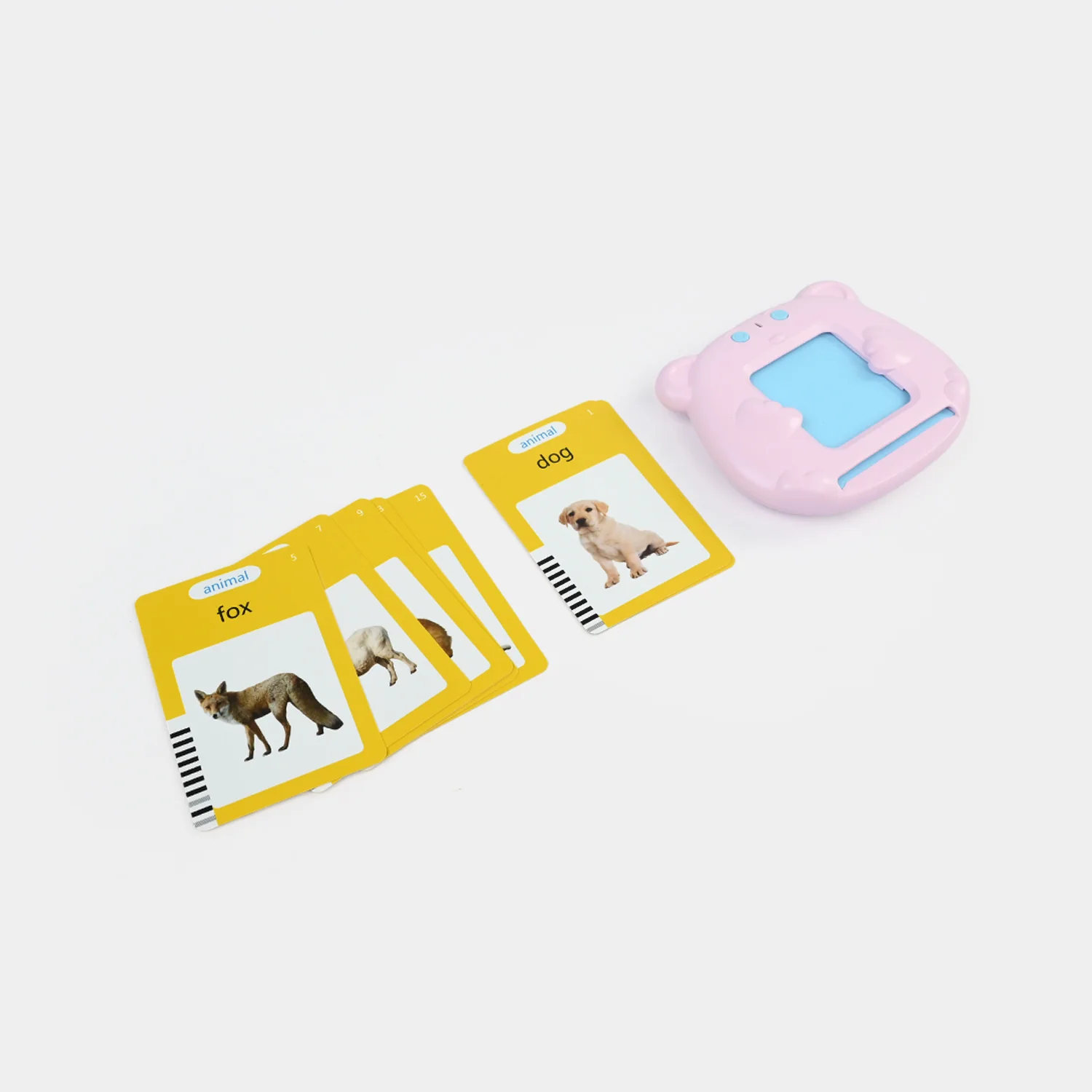 Bear English Early Education Card - Image 5