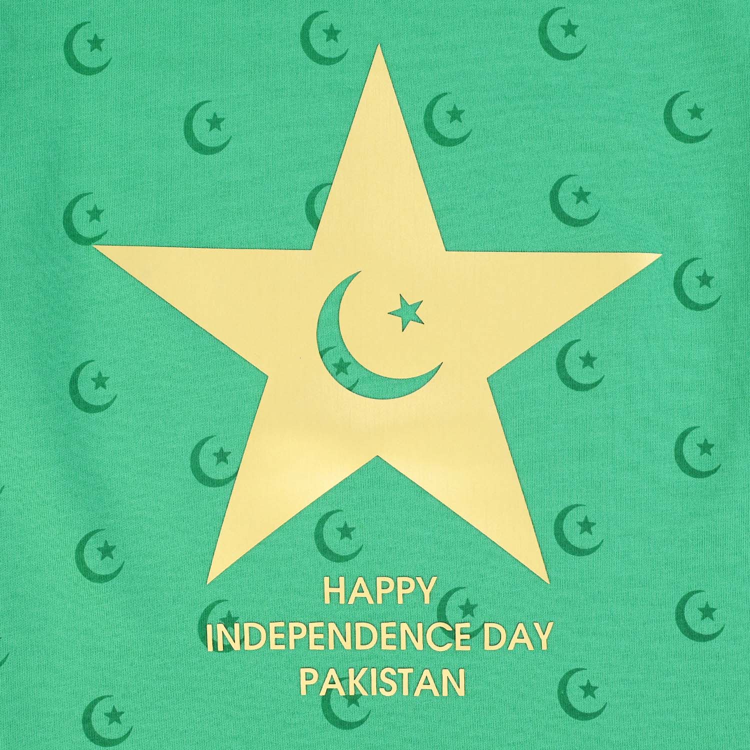 Boys Cotton Jersey T-Shirt Independence Day-Green - Image 2