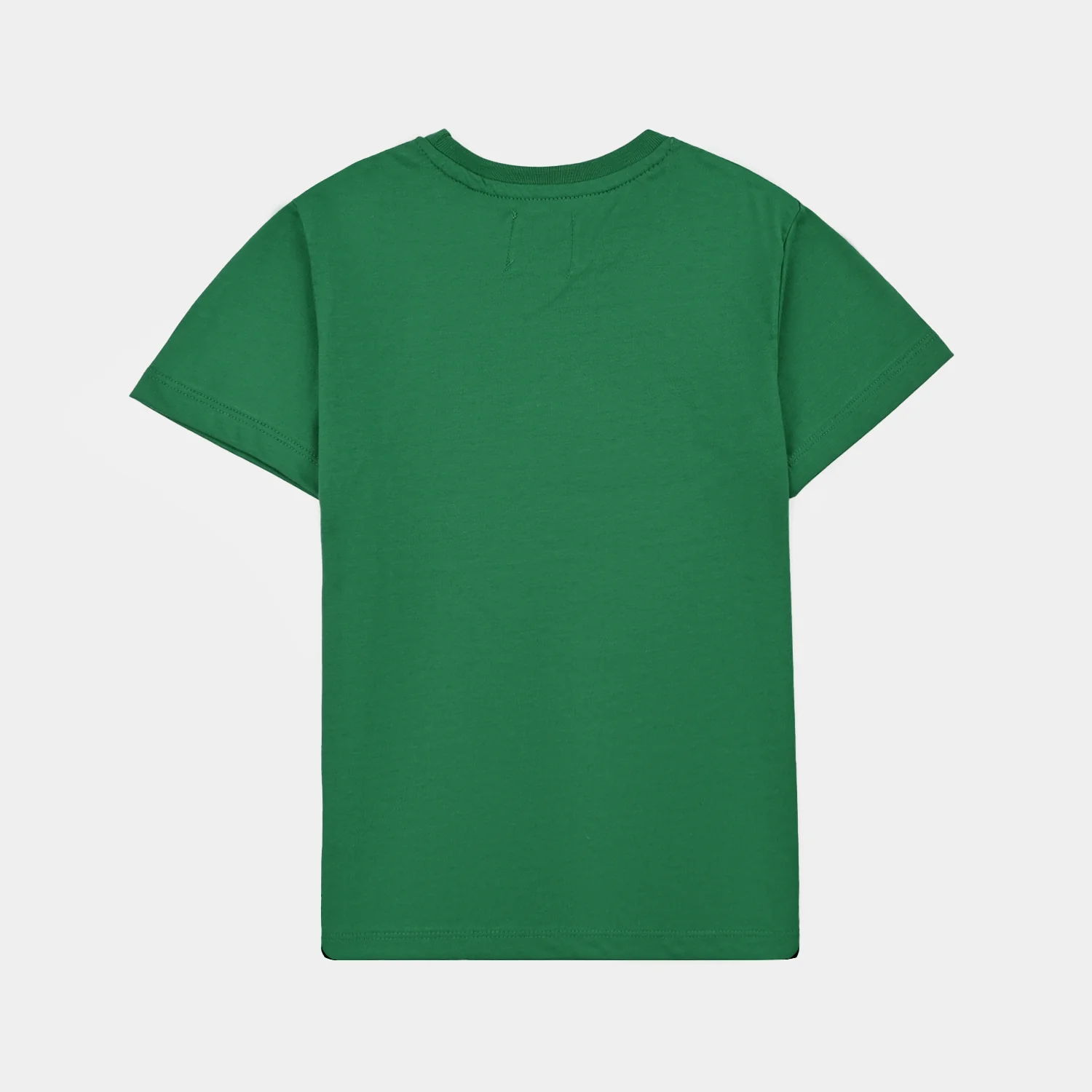 Boys Cotton Jersey T-Shirt One Pakistan's Landmark – Green - Image 5