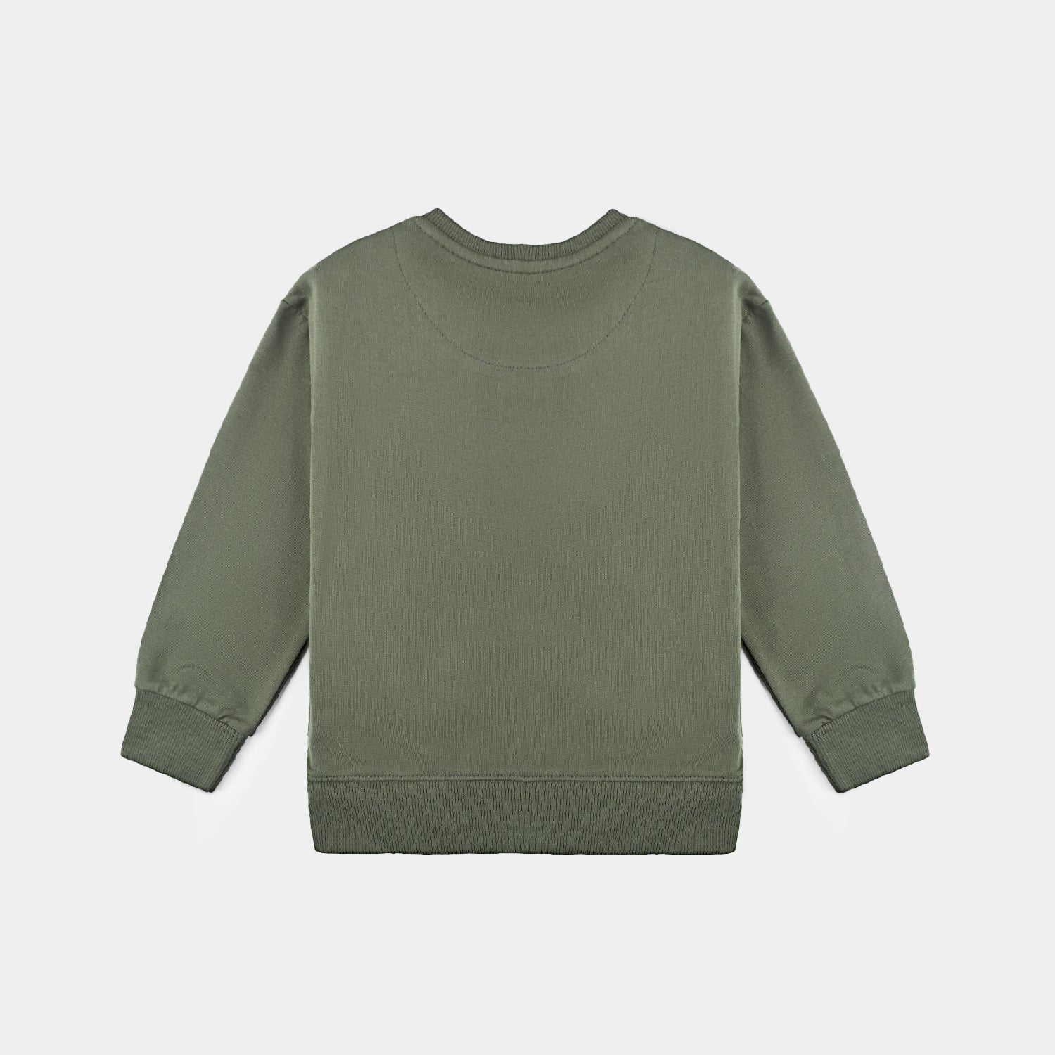Boys Cotton Terry Sweatshirt-Riffle Green - Image 4