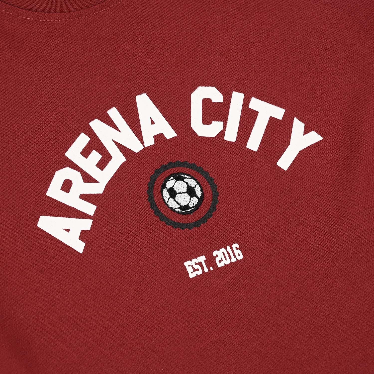 Boys Jersey/Terry T-Shirt (Arena City) - Maroon - Image 4