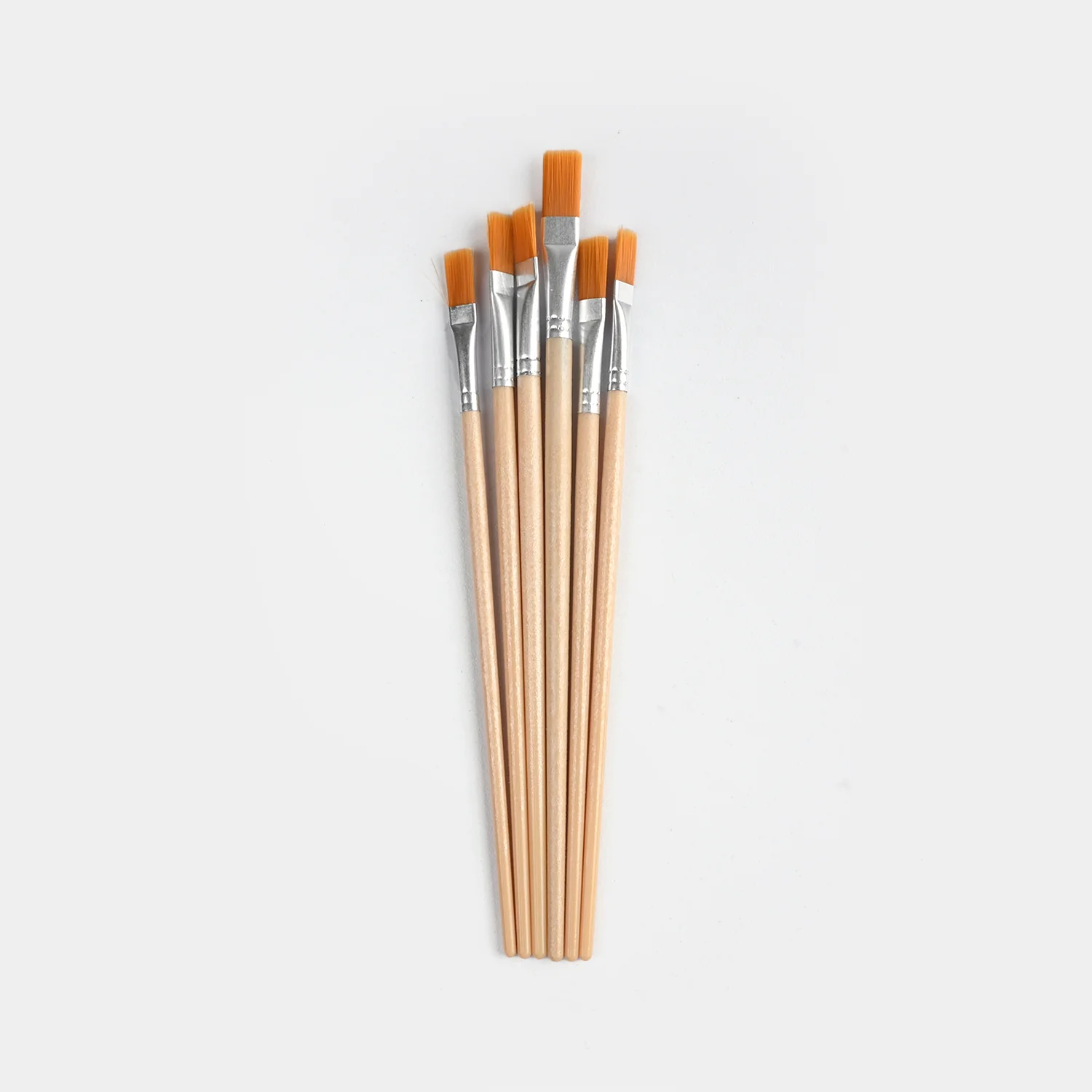 Artist Painting Brush Set | 6Pcs