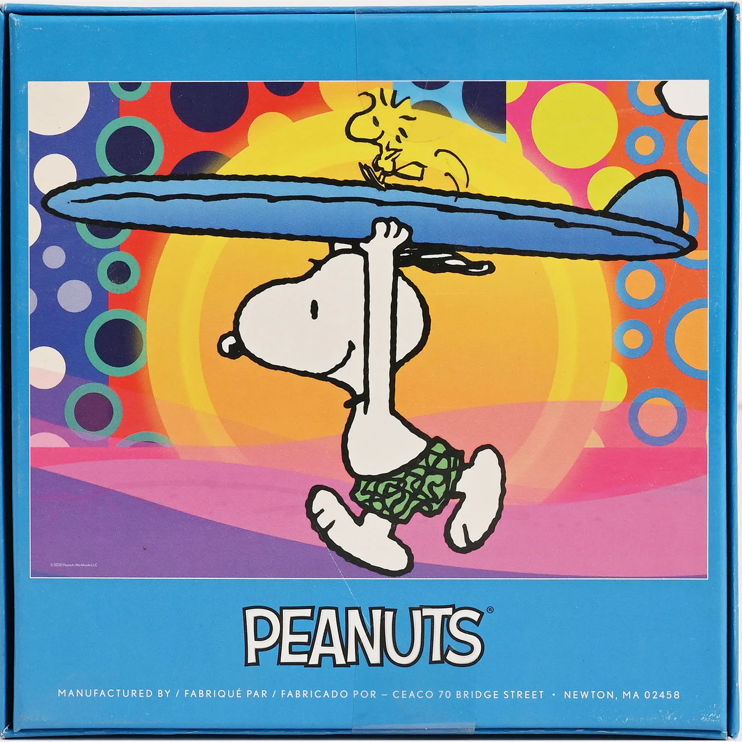 Jigsaw Puzzle Peanuts Blocks Set | 100Pcs - Image 4
